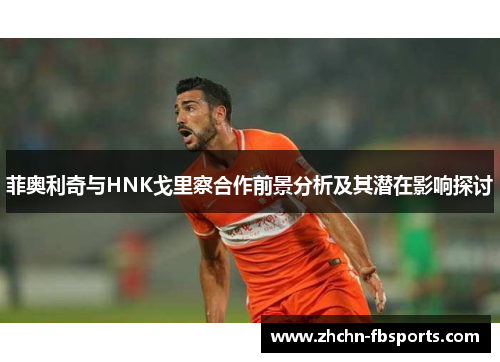 菲奥利奇与HNK戈里察合作前景分析及其潜在影响探讨