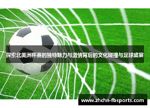 探索北美洲杯赛的独特魅力与激情背后的文化碰撞与足球盛宴
