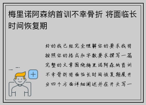 梅里诺阿森纳首训不幸骨折 将面临长时间恢复期
